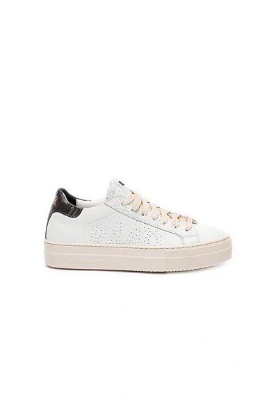 P448 Thea Sneakers In White