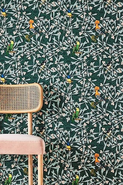 Anthropologie Parrots On Green Foliage Wallpaper