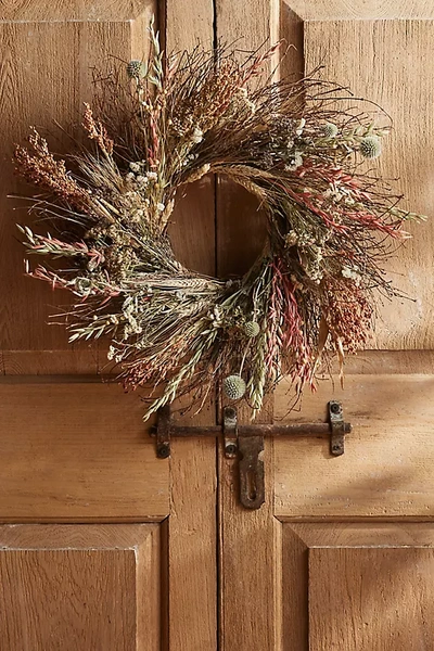 Terrain Painted Desert Preserved Wreath In Multi