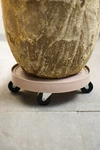 Terrain Rolling Plant Dolly, Grey 12" In Grey