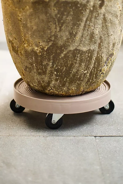 Terrain Rolling Plant Dolly, Grey 12"