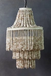 Terrain Beaded Chandelier
