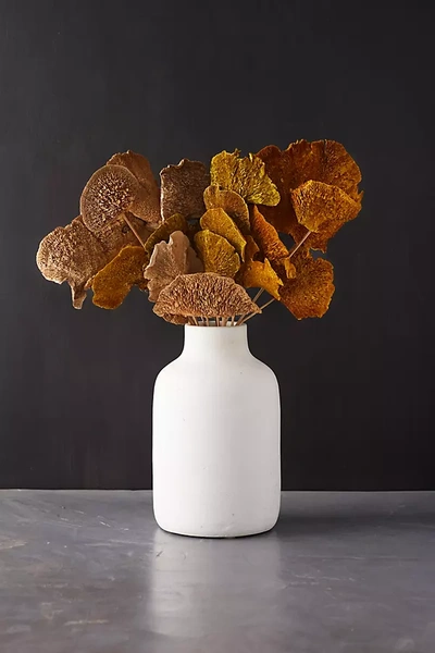 Terrain Preserved Mushroom Stems, Set Of 3 In White