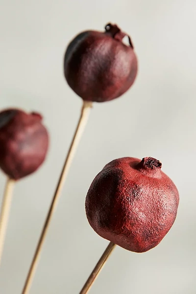 Terrain Preserved Pomegranate Bunch In Red