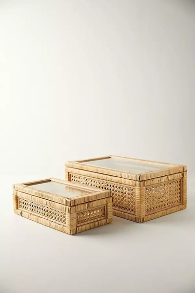 Terrain Rattan Box With Glass Lid