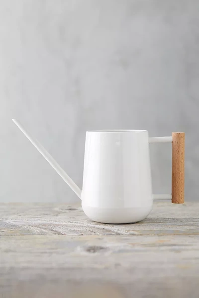 Terrain Beech Wood Handle Watering Can In White