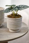 Terrain Ridged Texture Footed Planter, 4.5" In Gray
