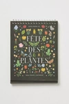 Rifle Paper Co 2024 Desk Calendar In Multi