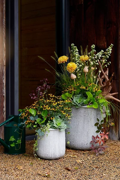 Terrain Roll Top Ceramic Planter, 19" In White