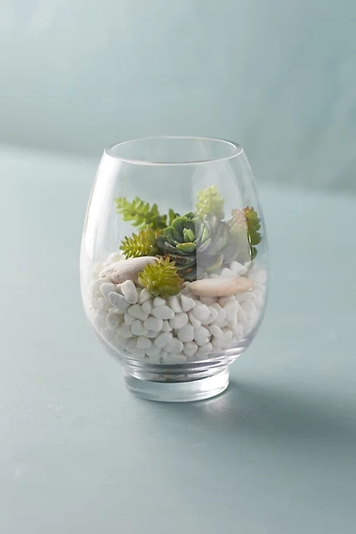 Terrain Rounded Vase Terrarium In Transparent
