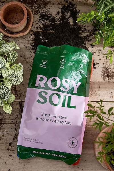 Terrain Rosy Soil Earth Positive Indoor Potting Mix In Purple