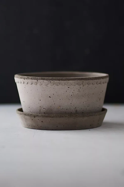 Terrain Bergs Scallop Bowl + Saucer Set In Gray
