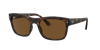 Ray Ban Ray In Brown