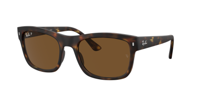 Ray Ban Ray In Brown