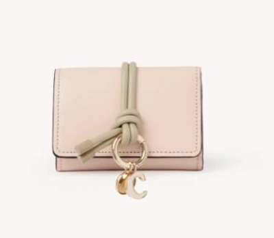 Chloé Wallets & Card Holders In Pink
