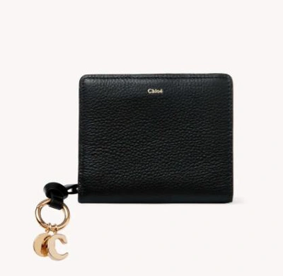 Chloé Wallets & Card Holders In Black