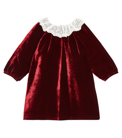 Bonpoint Baby Lace-trimmed Velvet Dress In Red