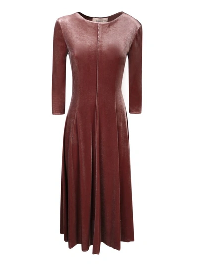 Blanca Vita Velvet Midi Dress In Burgundy