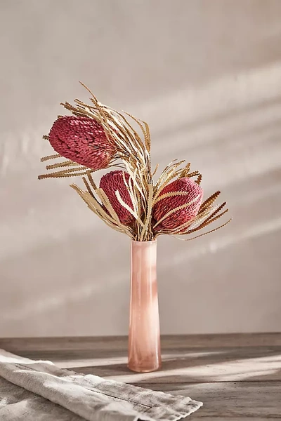 Terrain Dried Banksia Bunch In Pink