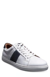 Allen Edmonds Courtside Sneaker In White/ Navy