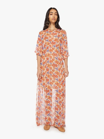 Natalie Martin Lily Dress Water Color Clementine Sweater (also In M) In Orange