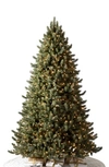 Balsam Hill Vermont White Spruce Pre-lit Artificial Tree In Led Clear