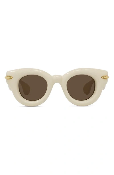 Loewe Inflated Pantos 46mm Round Sunglasses In Ivry/brn