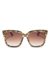 Diff 54mm Hailey Sunglasses In Tortoise