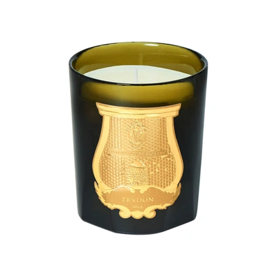 Trudon Ernesto Candle In 9.5 oz (classic)