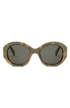 Celine Embellished Brown Acetate Round Sunglasses In Colhav/smk