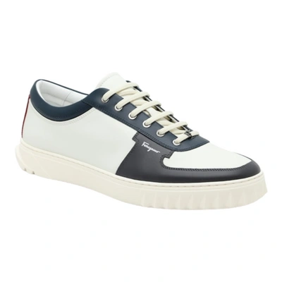 Ferragamo Salvatore  Scuby Men's 727804 White Sneaker In Black