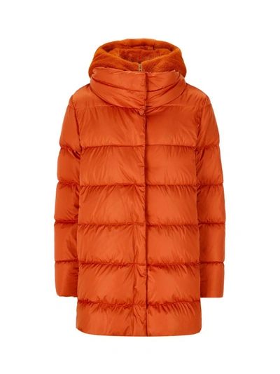 Herno Coats In Orange