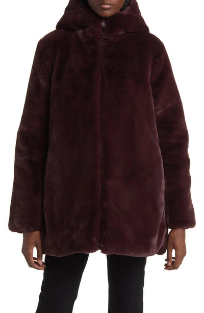 Save The Duck Bridget In Burgundy Black