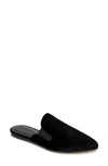 Splendid Liza Pointed Toe Mule In Black Velvet