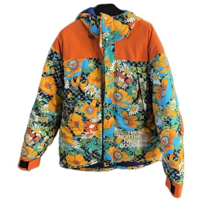 Pre-owned Gucci X North Face  Puffer Jacket In All Sizes In Multicolor