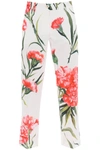 Dolce & Gabbana Carnation Print Stretch Cotton Crop Pants In White