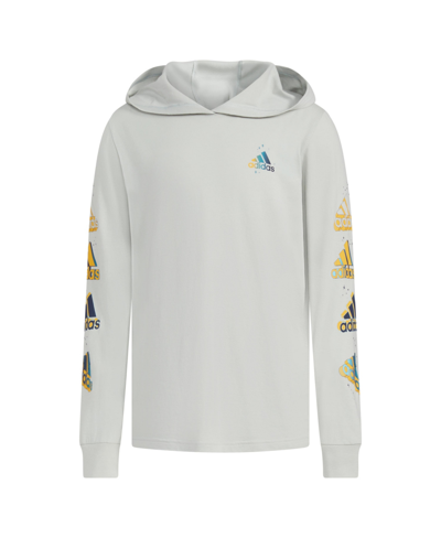 Adidas Originals Kids' Big Boys Long Sleeve Mystic Logo Hooded T-shirt In Wonder Silver