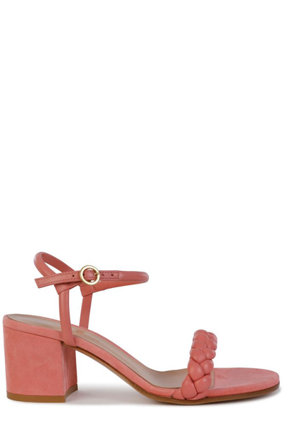 Gianvito Rossi Braided Buckle In Pink