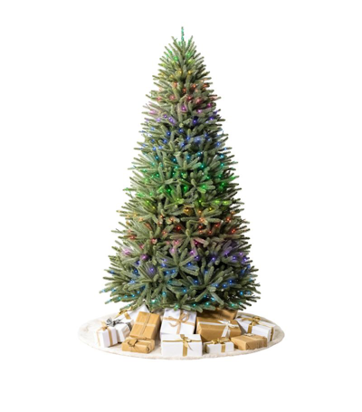 Balsam Hill Royal Blue Spruce Christmas Tree (8ft) In Green