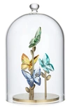 Swarovski Jungle Beats Butterfly Bell Jar In Multicolored