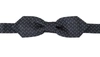 Dolce & Gabbana Blue Gray Polka Dot 100% Silk Neck Papillon Tie In Blue