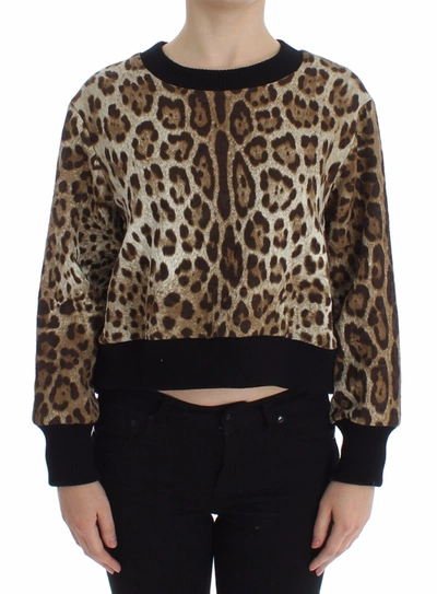 Dolce & Gabbana Elegant Leopard Print Short Sweater Women's Top In Brown