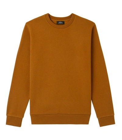 Apc Capitol Sweatshirt In Brown