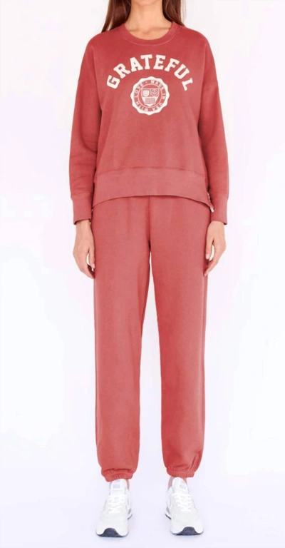 Sundry Boyfriend Sweatpants In Brick In Pink