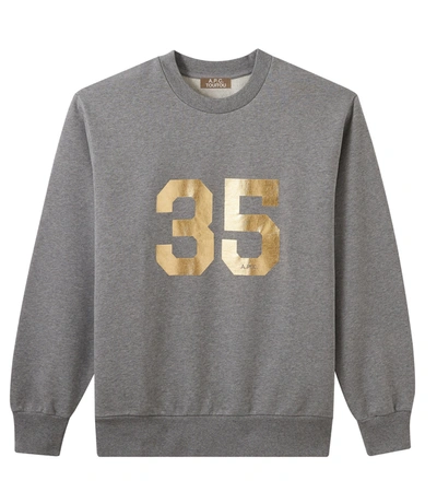 35 Yrs Carolina Sweatshirt (unisex) In Grey