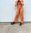 Diarte Silvestre Trouser In Caramel In Brown