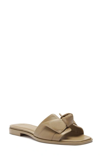 Alexandre Birman Maxi Clarita Knot-detail Sandals In Semolina