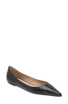 STUART WEITZMAN EMILIA POINTED TOE FLAT