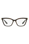 Dolce & Gabbana 53mm Cat Eye Optical Glasses In Havana