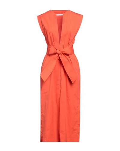 Liviana Conti Woman Midi Dress Orange Size 8 Cotton, Polyamide, Elastane